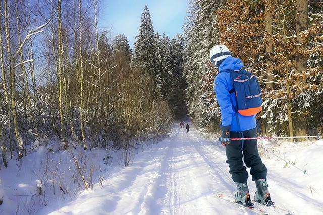 雪山リフレッシュスキーツアーの魅力